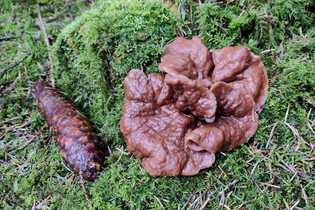 IMG_20220408_133700 - kopie