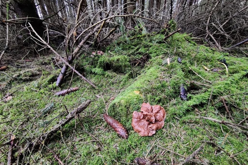 IMG_20220408_133716 - kopie