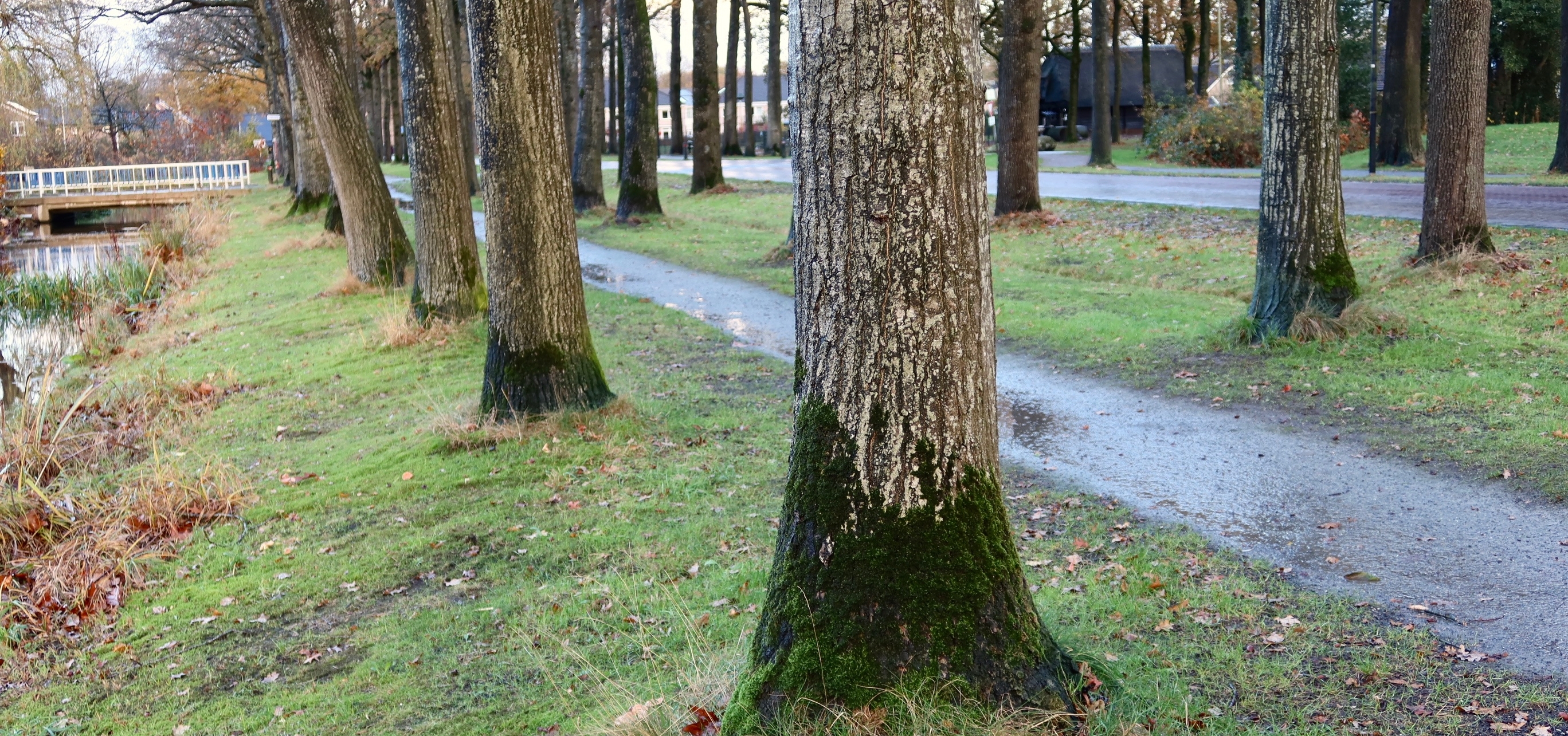 Meetnetplek met steenslagpad