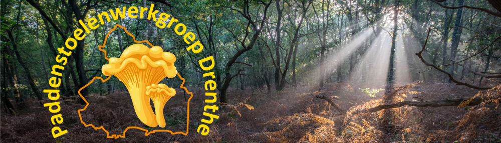Paddenstoelenwerkgroep Drenthe